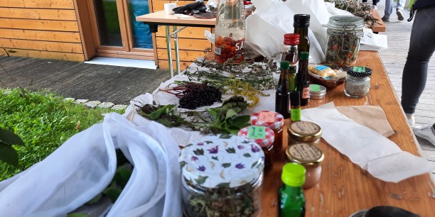 ... was der Garten des Zinzendorfhauses an Gutem hergibt. Foto: © Wuttke/EAT