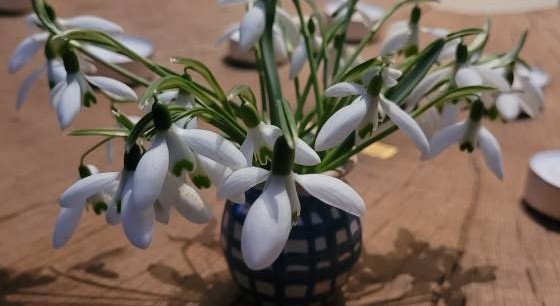 Schneeglöckchen schmückten den Altar bei den Andachten. Foto (c): Kranich/ EAT.