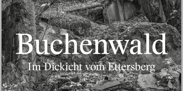 Buchenwald Herbststimmung | Foto: © Christian Rothe