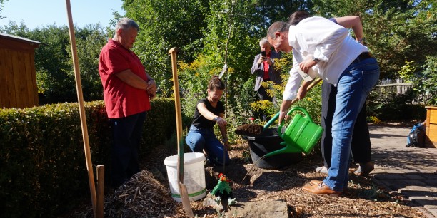 Symbolisch für die geplanten Aktionen in Sachen Klimawald wurde auch im Garten des Zinzendorfhauses ein neuer Baum gepflanzt. Foto: © Zubarik/EAT