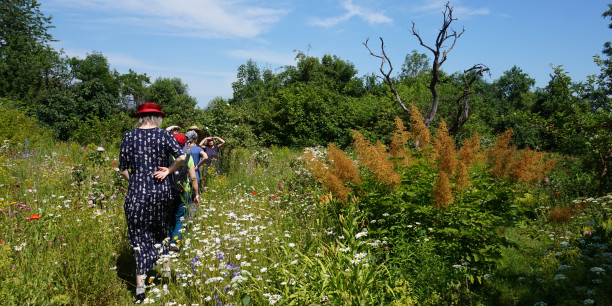 Trotz extremer Hitze wandernd unterwegs bei der Begegnungswerkstatt in Mecklenburg-Vorpommern. Foto: (c) Vogler/EAT