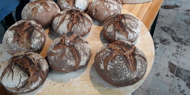 Brote backen für die Welt: Die Aktion ist nicht nur eine willkommene Abwechslung im Konfirmandenunterricht, sondern hilft Spenden für Bildungsprojekte in Ländern des Globalen Südens zu sammeln. Foto: (c) Jan Redeker/Pfarrbereich Stotternheim. 