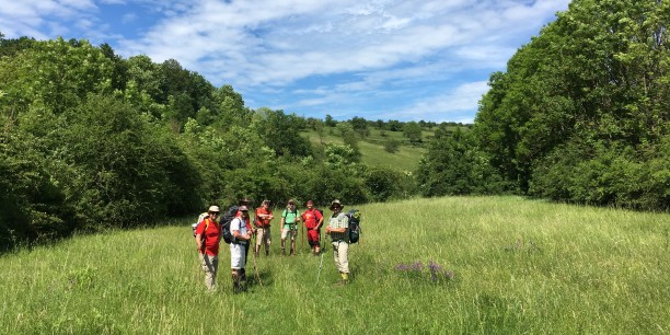 Männer im Beruf pilgern auf dem Pilgerweg Loccum-Volkenroda. Foto: © Holger Lemme