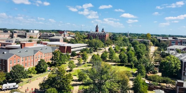 Blick auf Auburn. Foto: ©John Wilson