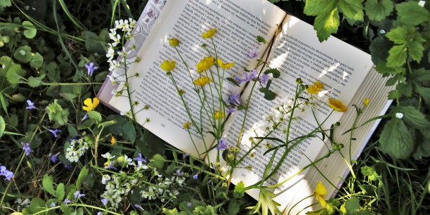 Garten und Bücher - das passt gut zusammen. Foto: pasja1000/pixabay